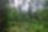 20230623_170633 – Pagraužė – AdelėB