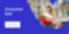 Consumer loan